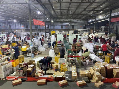 從千人咨詢到雙十一亮燈 信息咨詢服務的科技化賦能